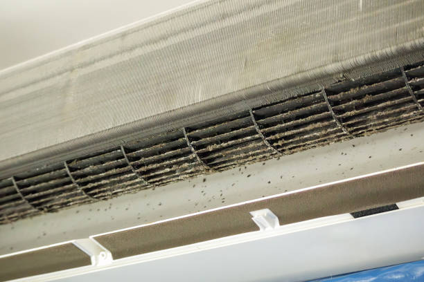 Home Air Vent Cleaning in South Milwaukee, WI