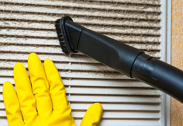 Best Home Air Vent Cleaning  in South Milwaukee, WI